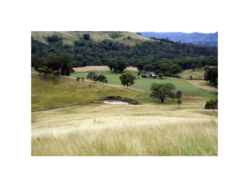 Tinseys Road, Timor NSW 2338