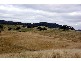 Tinseys Road, Timor NSW 2338
