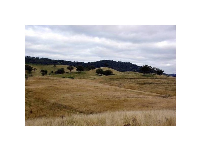 Tinseys Road, Timor NSW 2338