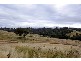 Tinseys Road, Timor NSW 2338
