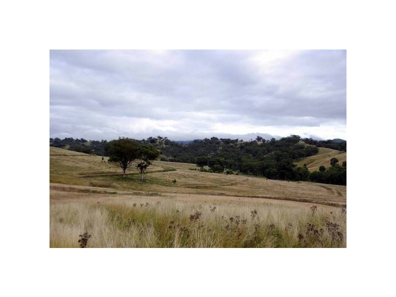 Tinseys Road, Timor NSW 2338