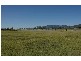 343 New England Highway, Scone NSW 2337