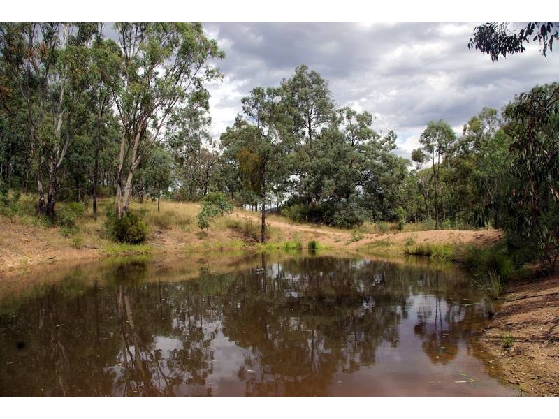 298 Dry Creek, Scone NSW 2337