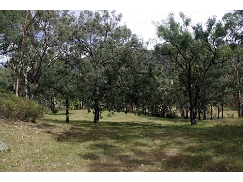 298 Dry Creek, Scone NSW 2337