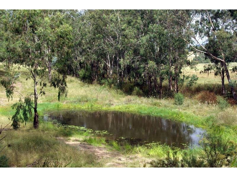 298 Dry Creek, Scone NSW 2337