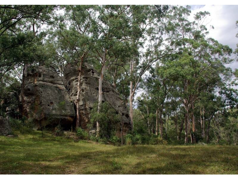 298 Dry Creek, Scone NSW 2337