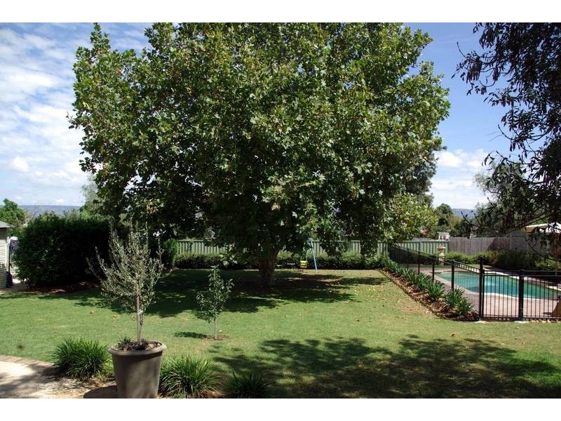 77 Park Street, Scone NSW 2337
