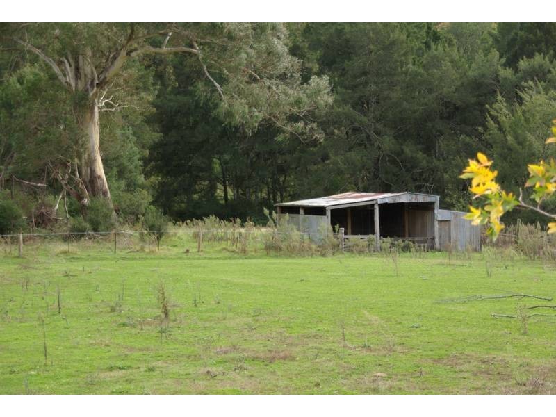 Stewarts Brook Road, Scone NSW 2337