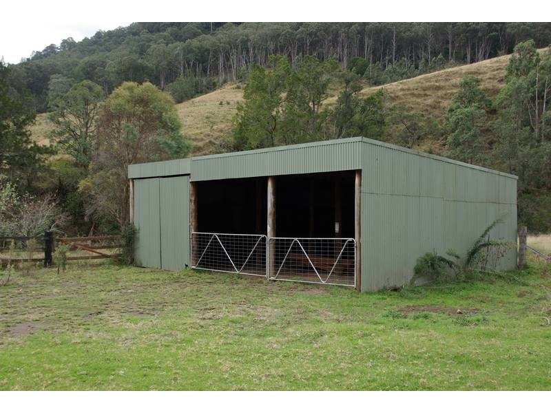 Stewarts Brook Road, Scone NSW 2337