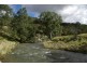Stewarts Brook Road, Scone NSW 2337