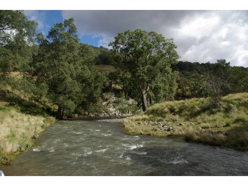 Stewarts Brook Road, Scone NSW 2337