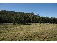 Binghams Middlebrook Road, Scone NSW 2337