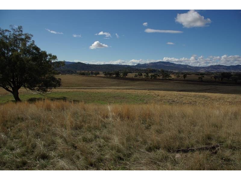 . New England Highway, Wallabadah NSW 2343