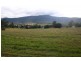 Lot Lot 5, 91 O’Connell street, Murrurundi NSW 2338
