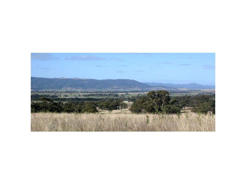 323 Bunnan Road, Scone NSW 2337