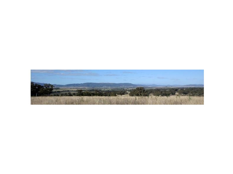 323 Bunnan Road, Scone NSW 2337