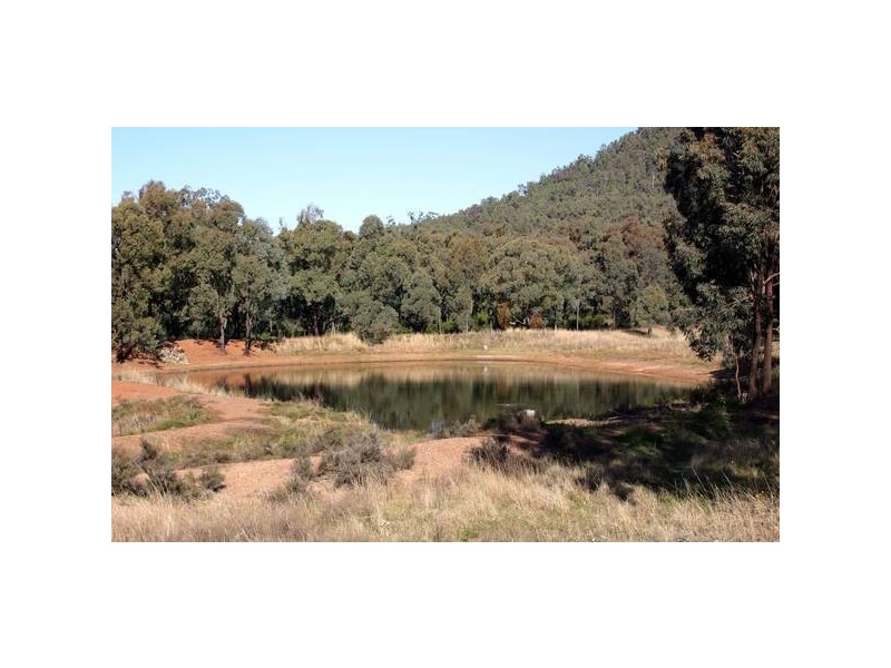 323 Bunnan Road, Scone NSW 2337