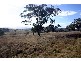 323 Bunnan Road, Scone NSW 2337
