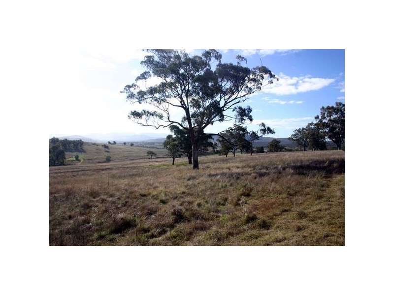 323 Bunnan Road, Scone NSW 2337