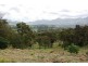 Lot 427,  Thompson’s Creek Road, Scone NSW 2337