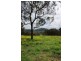 Lot 427,  Thompson’s Creek Road, Scone NSW 2337