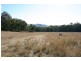 Lot 427,  Thompson’s Creek Road, Scone NSW 2337