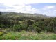 Lot 427,  Thompson’s Creek Road, Scone NSW 2337