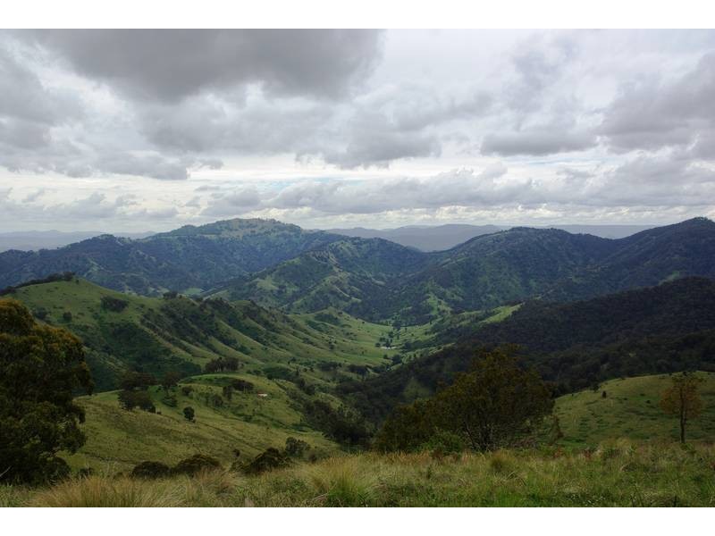 . Stewarts Brook Road, Scone NSW 2337