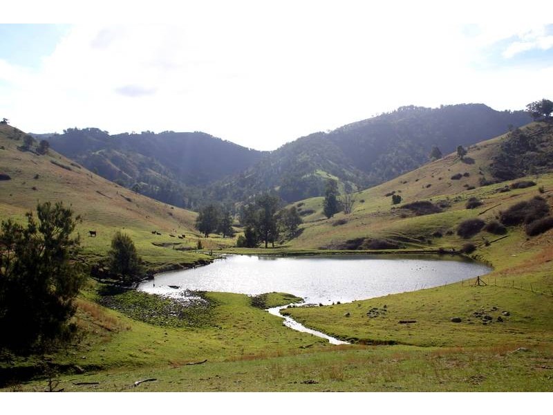 . Stewarts Brook Road, Scone NSW 2337