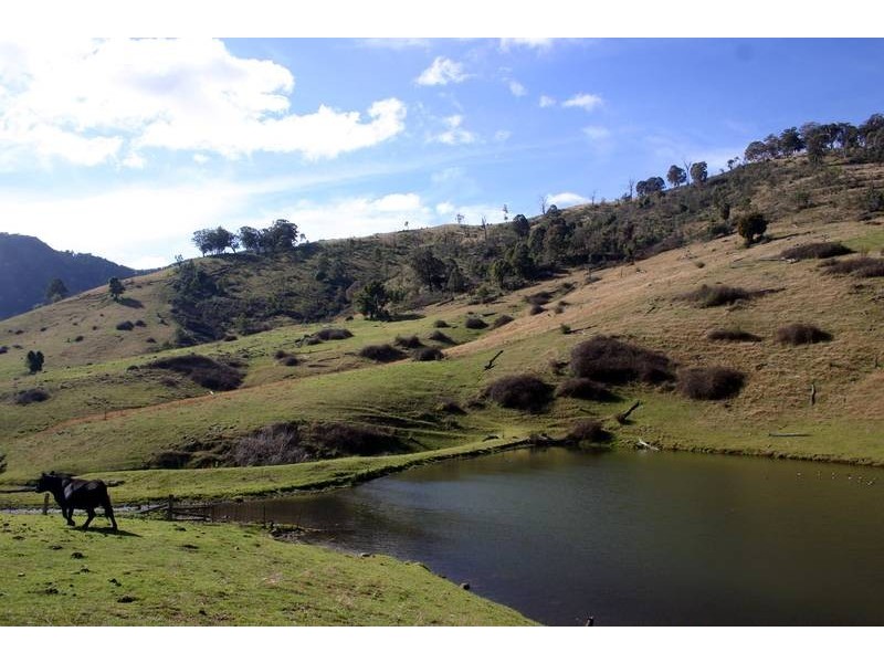 . Stewarts Brook Road, Scone NSW 2337