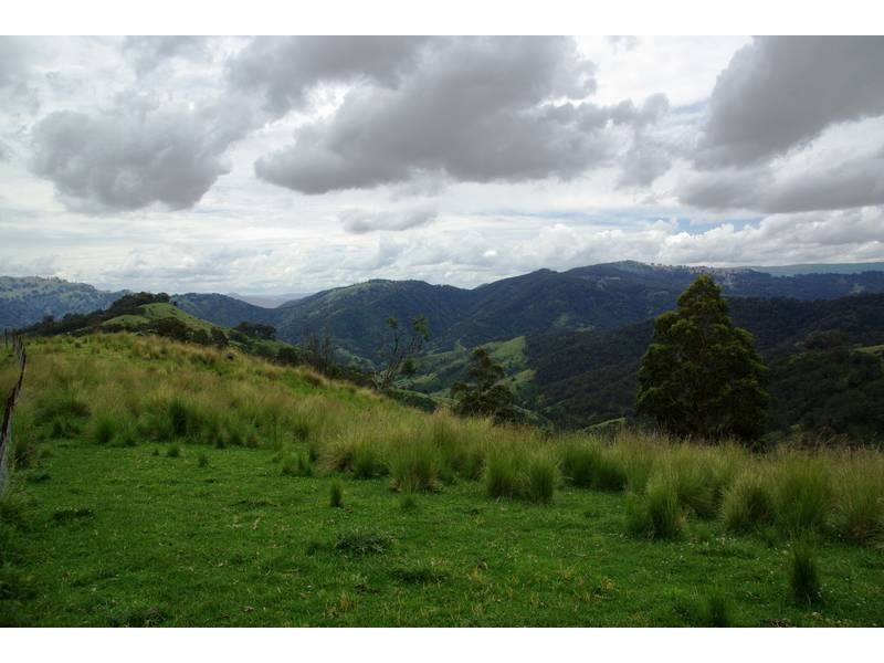 . Stewarts Brook Road, Scone NSW 2337