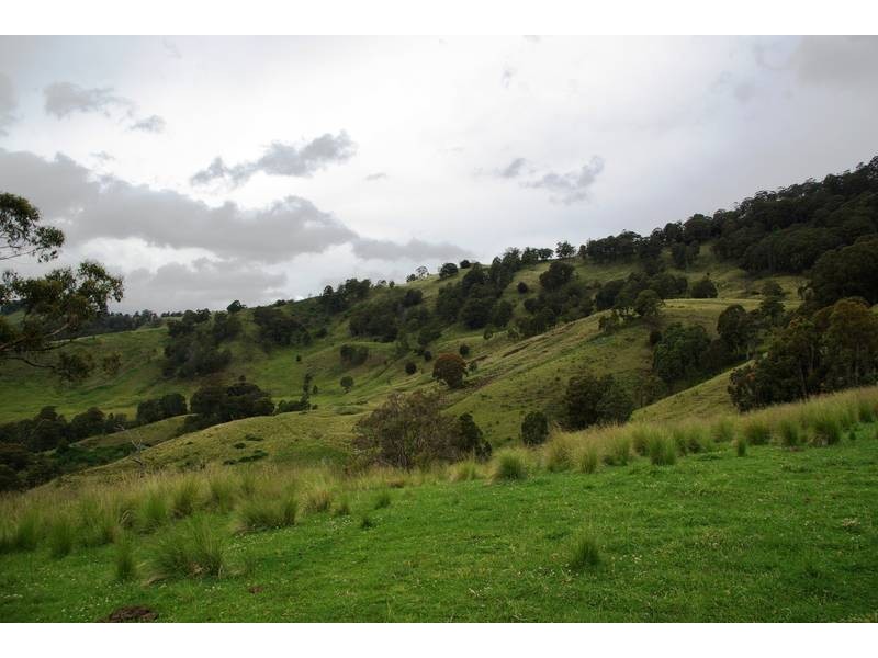 . Stewarts Brook Road, Scone NSW 2337