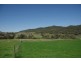 1432 Gundy Road, Scone NSW 2337