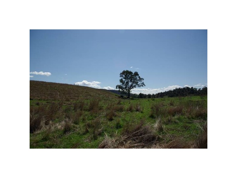 1432 Gundy Road, Scone NSW 2337