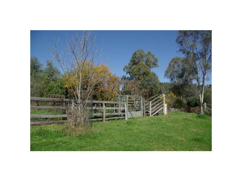 1432 Gundy Road, Scone NSW 2337