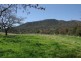 1432 Gundy Road, Scone NSW 2337