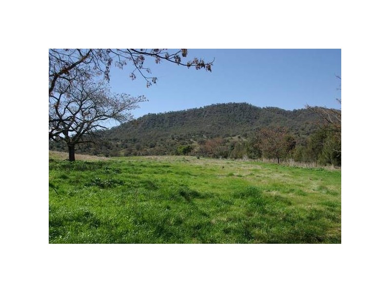 1432 Gundy Road, Scone NSW 2337