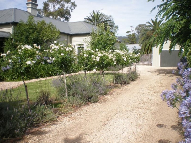24 Oxford Road, Scone NSW 2337
