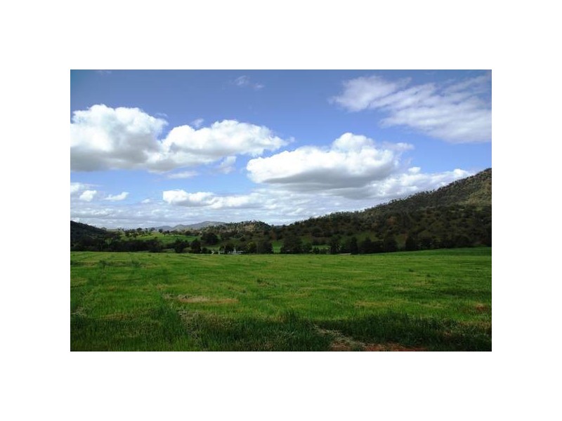 . Gundy Road, Scone NSW 2337