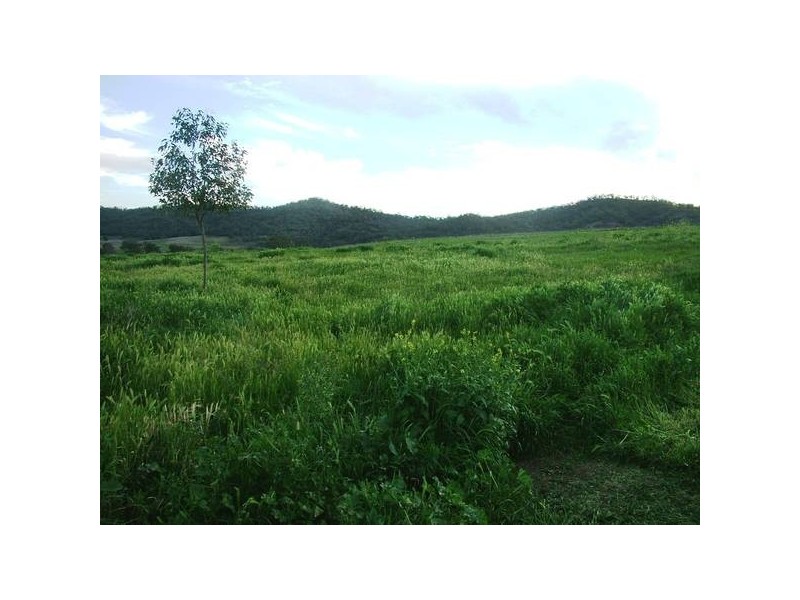 . Gundy Road, Scone NSW 2337