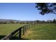 . Middlebrook Road, Scone NSW 2337