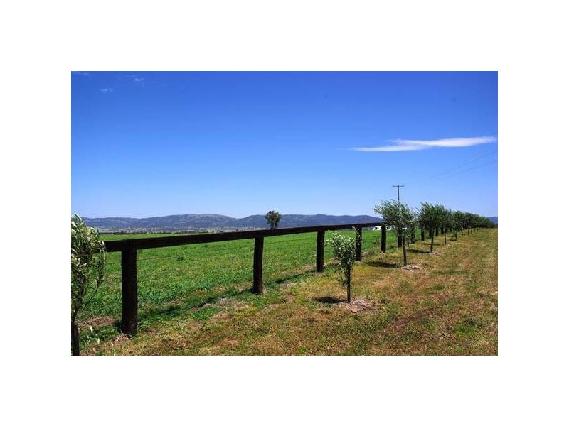 . Middlebrook Road, Scone NSW 2337