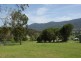 3 Paradise Lane, Murrurundi NSW 2338