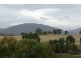 6 Wilson Street, Gundy NSW 2337