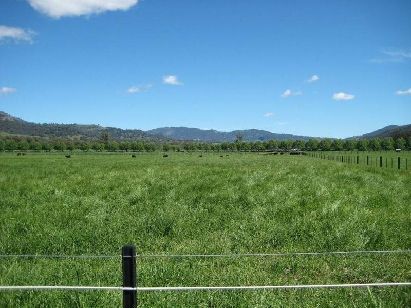 8 New England Highway, Blandford NSW 2338