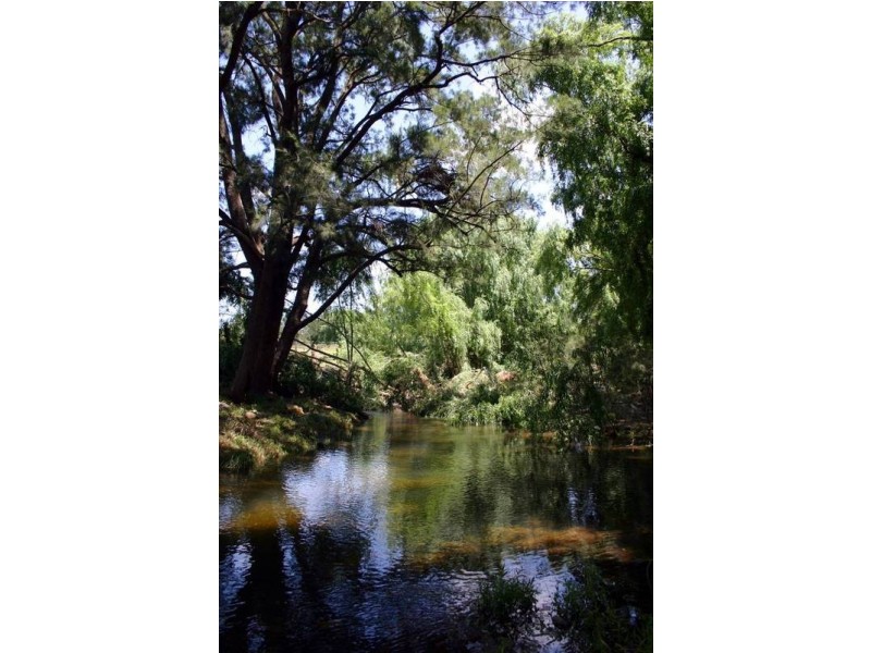 8 New England Highway, Blandford NSW 2338