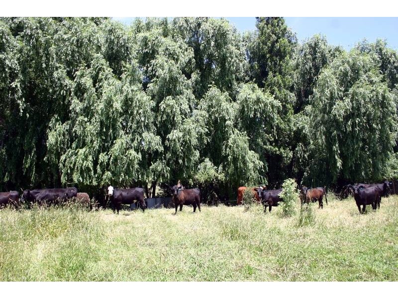 8 New England Highway, Blandford NSW 2338