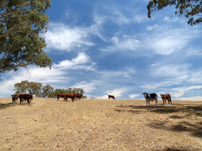 Sec 180 Cyanide Road, Mount Torrens SA 5244