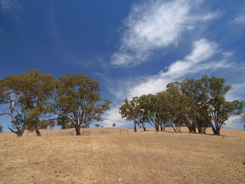 Sec 180 Cyanide Road, Mount Torrens SA 5244