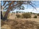 Sec 180 Cyanide Road, Mount Torrens SA 5244